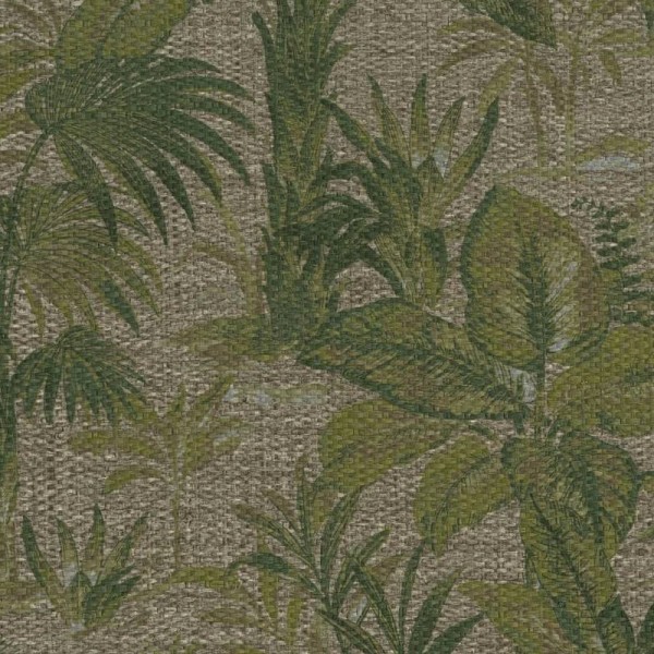 Papel Pintado Tropical - 50104 - JWALL