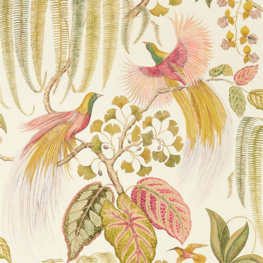 Papel Pintado BIRD OF PARADISE DGLW216653 Olive - Sanderson