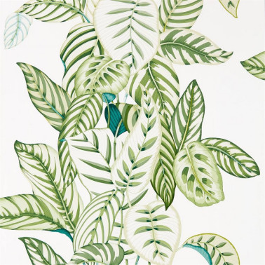 Wallpaper CALATHEA DGLW216630 Botanical Green - Sanderson