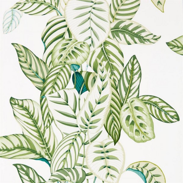 Wallpaper CALATHEA DGLW216630 Botanical Green - Sanderson