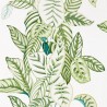 CALATHEA DGLW216630 Botanical Green