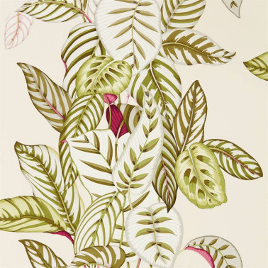 Papier peint CALATHEA DGLW216631 Olive - Sanderson