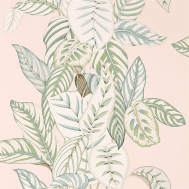 Wallpaper CALATHEA DGLW216632 Orchid/Eucaluptus - Sanderson