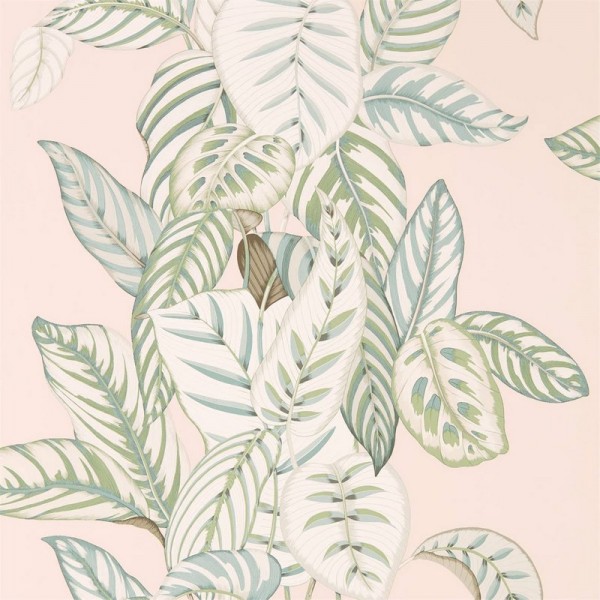 Wallpaper CALATHEA DGLW216632 Orchid/Eucaluptus - Sanderson