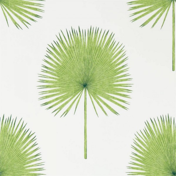 Papel de parede FAN PALM DGLW216636 Botanical Green - Sanderson