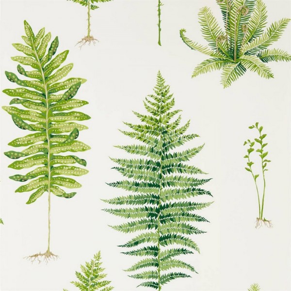 Papel de parede FERNERY DGLW216633 Botanical Green - Sanderson