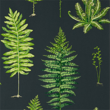 Wallpaper FERNERY DGLW216634 Botanical Green/Charcoal - Sanderson