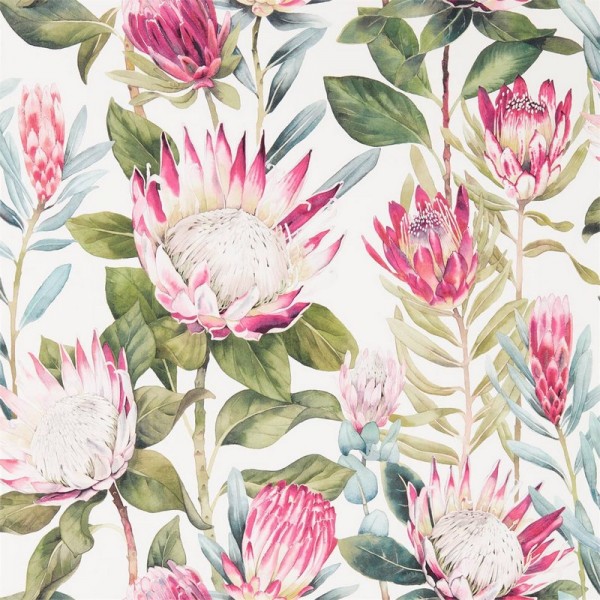 Wallpaper KING PROTEA DGLW216646 Rodera/Cream - Sanderson