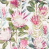 KING PROTEA DGLW216646 Rodera/Cream