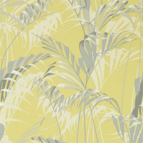 Papel Pintado PALM HOUSE DGLW216642 Chartreuse/Grey - Sanderson