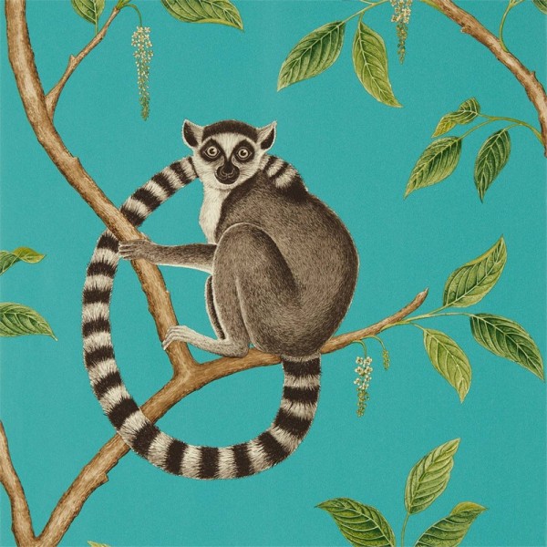 Papel Pintado RINGTAILED LEMUR DGLW216663 Teal - Sanderson