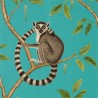 RINGTAILED LEMUR DGLW216663 Teal