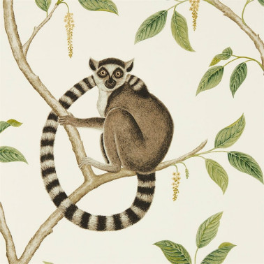 Wallpaper RINGTAILED LEMUR DGLW216664 Cream/Olive - Sanderson