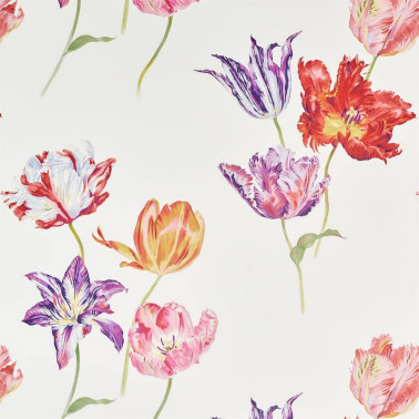 Wallpaper TULIPOMANIA DGLW216666 Botanical - Sanderson