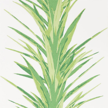 Papel de parede YUCCA DGLW216649 Botanical Green - Sanderson