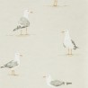 SHORE BIRDS DCOA216563