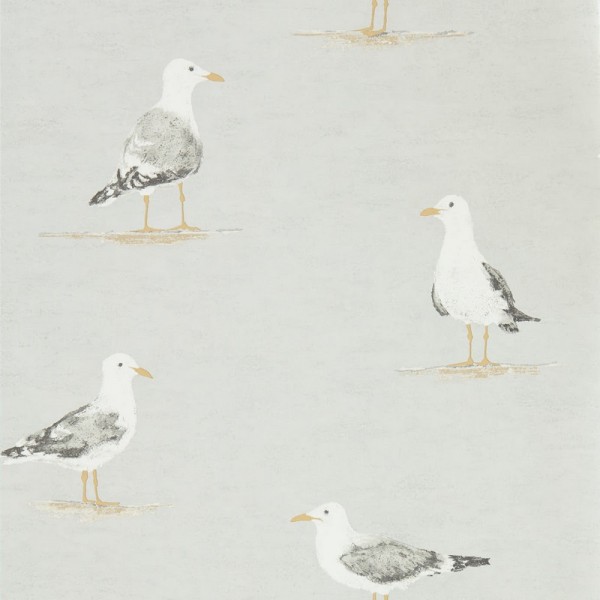 Papel de parede SHORE BIRDS DCOA216565 - Sanderson