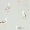 SHORE BIRDS DCOA2165