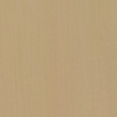 Wallpaper METALLIZED PLAIN N. 9644 - ARMANI CASA