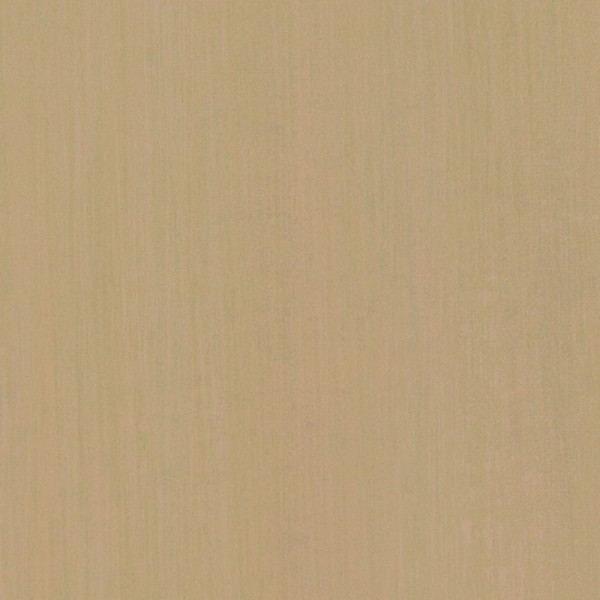 Wallpaper METALLIZED PLAIN N. 9644 - ARMANI CASA