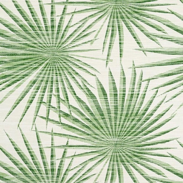 Wallpaper Palm Frond T10142 Green and White - THIBAUT