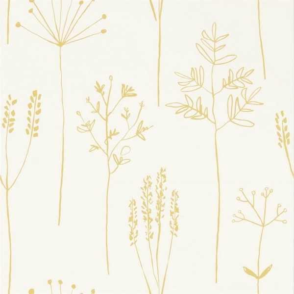 Papier peint Stipa 112021 Honey - SCION