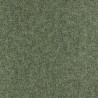 Shagreen 312905 Olivine