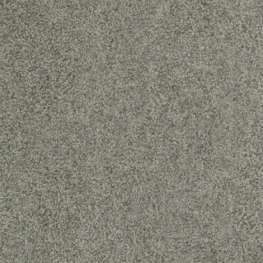 Wallpaper Shagreen 312907 Zinc - ZOFFANY