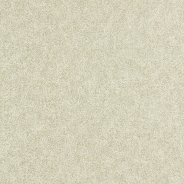 Papier peint Shagreen 312908 Platinum Grey - ZOFFANY