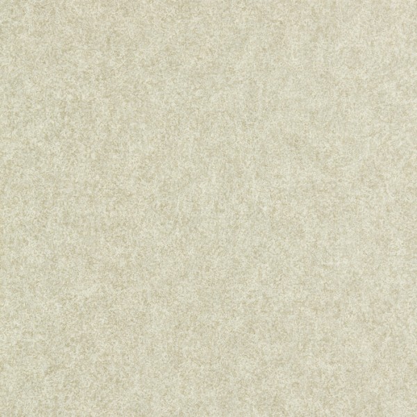 Tapete Shagreen 312908 Platinum Grey - ZOFFANY