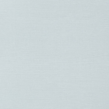 Wallpaper Taluk Sisal T283-TWW283 - THIBAUT