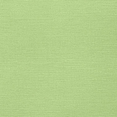 Wallpaper Taluk Sisal T287-TWW287 - THIBAUT