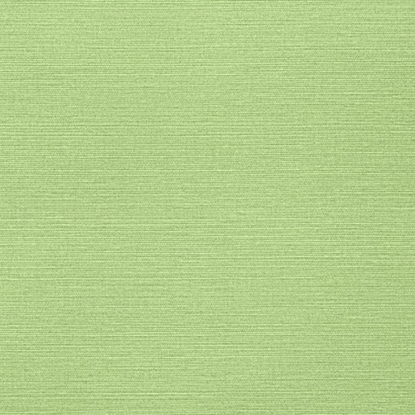 Papel de parede Taluk Sisal T287-TWW287 - THIBAUT