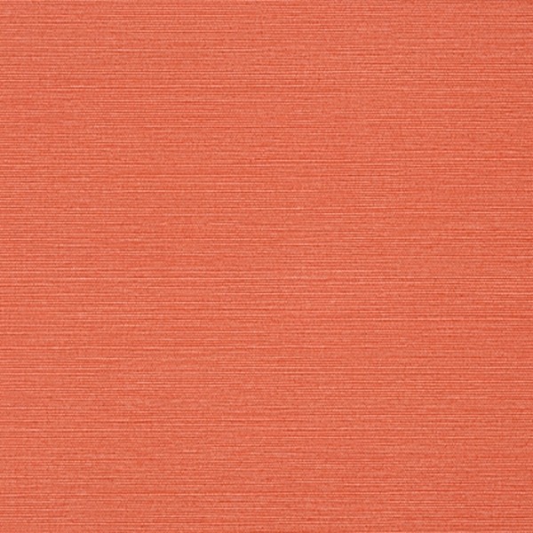 Carta da Parati Taluk Sisal T289-TWW289 - THIBAUT