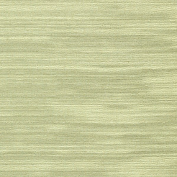 Papier peint Taluk Sisal T75153-TWW75153 - THIBAUT