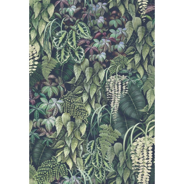 Papel de parede Green Wall w7330-02 - OSBORNE and LITTLE