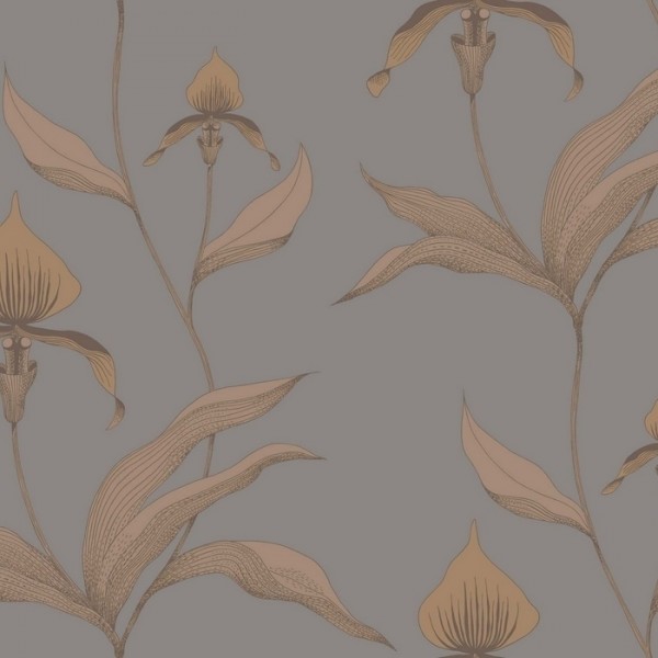 Wallpaper Orchid 95-10056 - COLE and SON