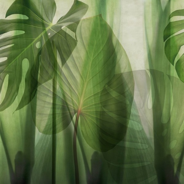 Papel Pintado GLRO102A EQUATORIAL JUNGLE - GLAMORA