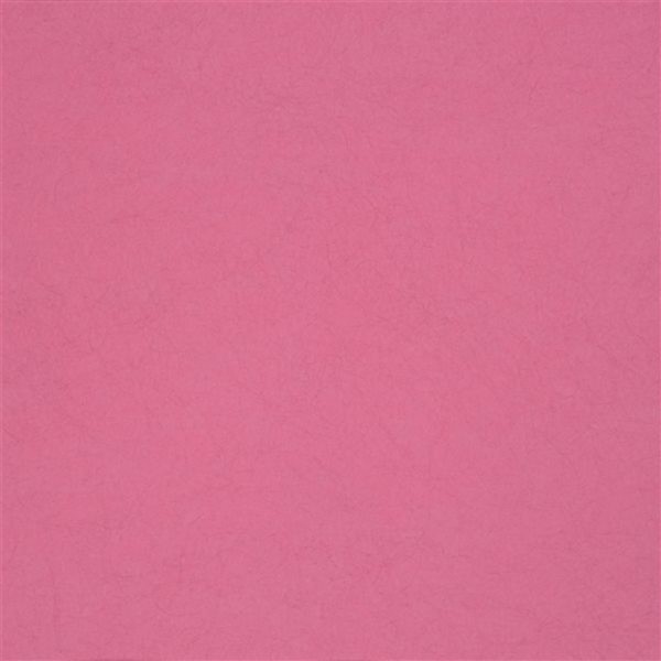 Tapete P502-41 ERNANI - FUCHSIA - Designers Guild