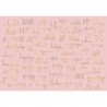 Papier peint Mural Beautiful Words - Flamingo 8000039 - COORDONNE