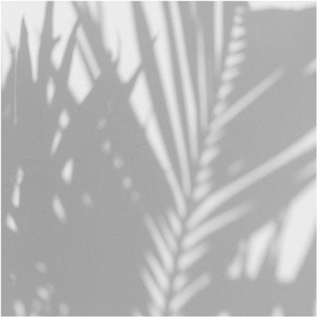 Wallpaper PALM SHADOW DOM148 - LES DOMINOTIERS