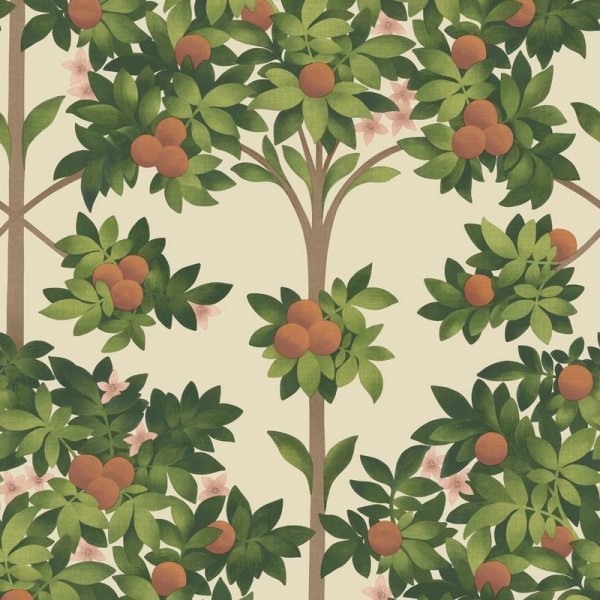 Wallpaper Orange Blossom 117-1001 - COLE and SON