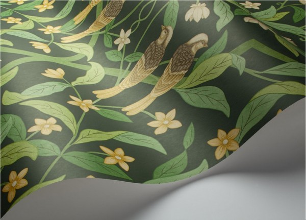 Wallpaper Jasmine & Serin Symphony 117-10029 - COLE and SON