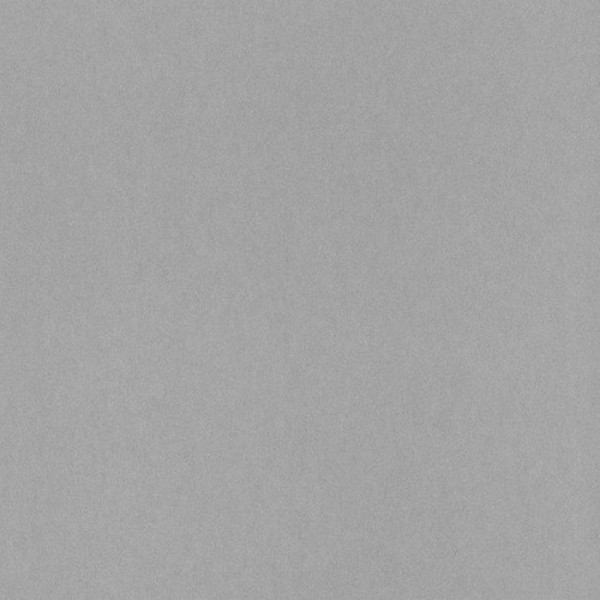 Papier peint Shadow Gris Argente 13219424 - Casadeco