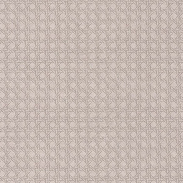 Papel Pintado Paja Taupe 84341303 - Casadeco