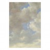 WP-205 Mural Mural Golden Age Clouds 2