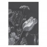 WP-588 Wall Mural Idade de Ouro Flores