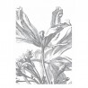 WP-329 Wall Mural gravado flores