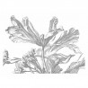 WP-337 Wall Mural Engraved Flowers