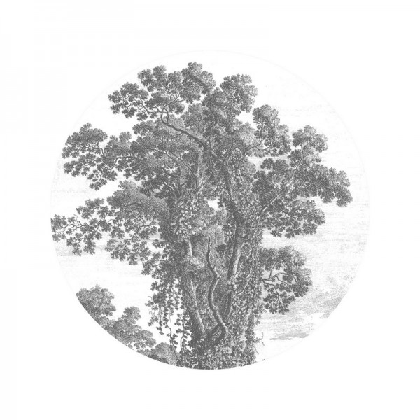 Papier peint SC-013 Wallpaper Circle Engraved Tree - KEK AMSTERDAM